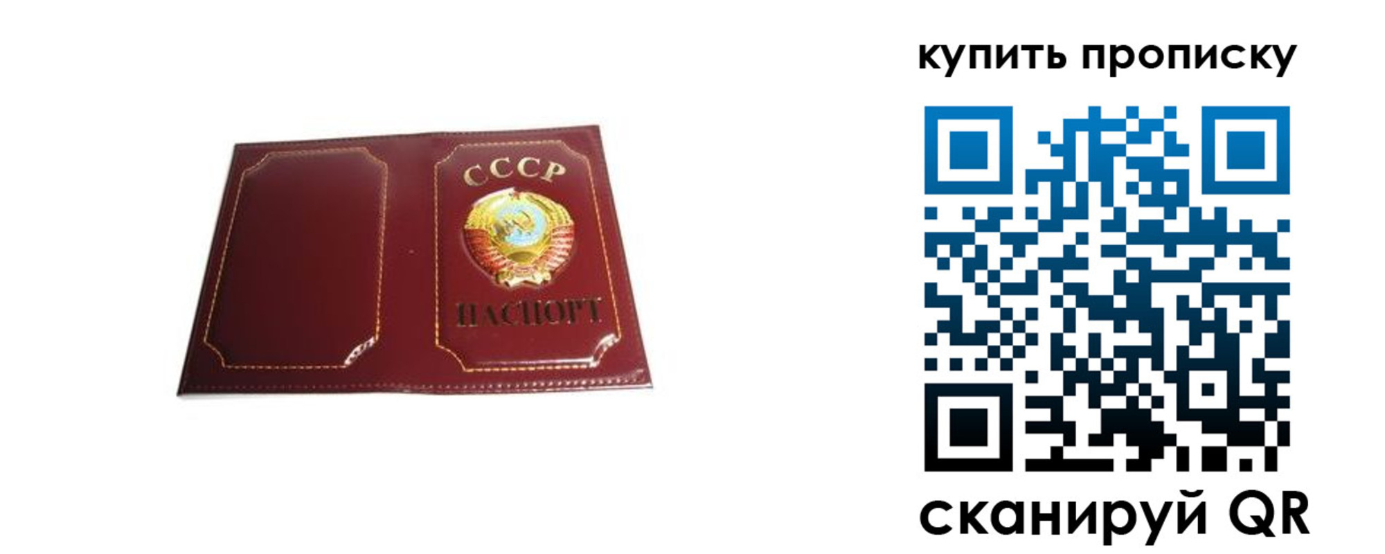 прописка законно в Краснознаменске